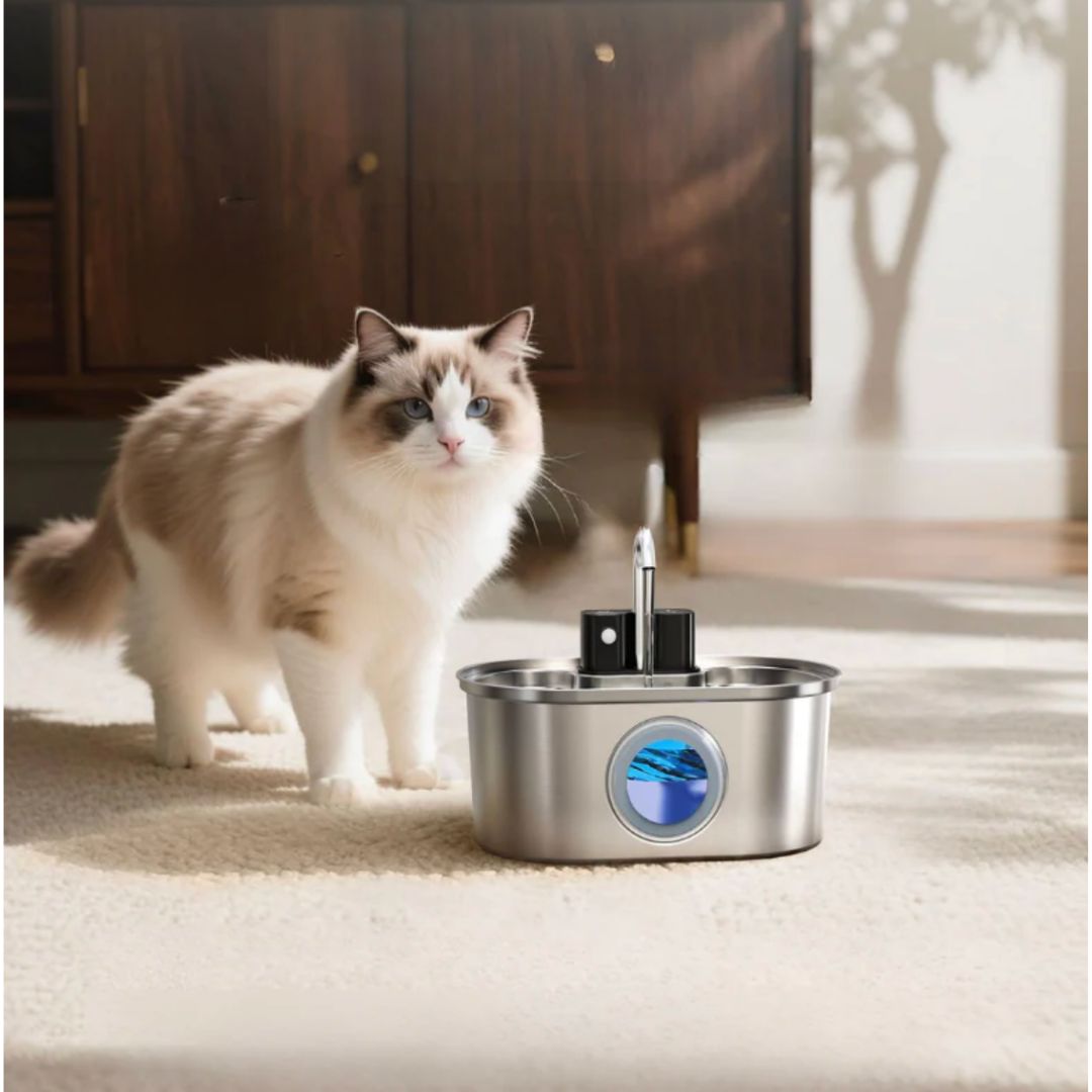 HydraPaw™ Steel Water Dispenser